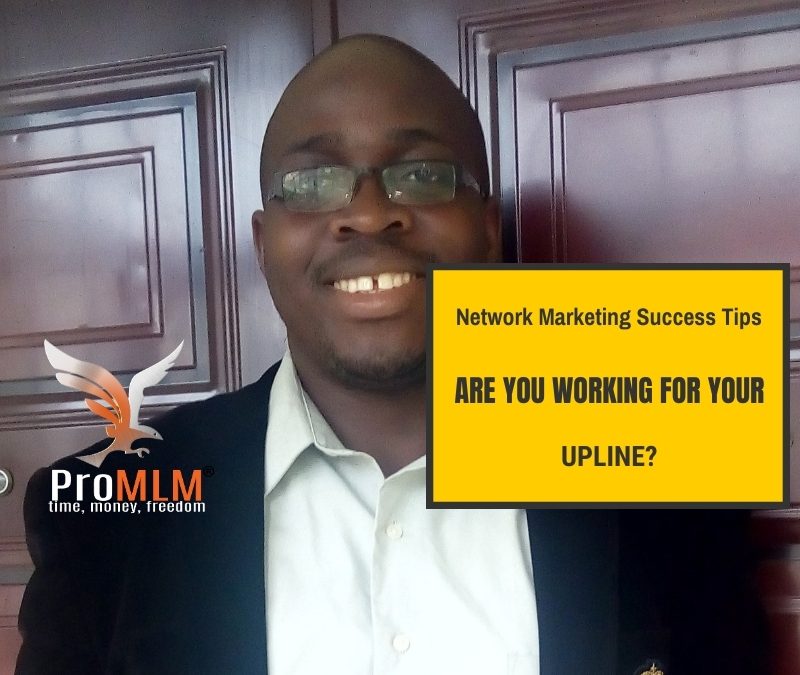 Network Marketing Success Tips- Are You Working For Your Upline_
