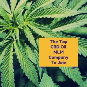 Top CBD MLM Company to join