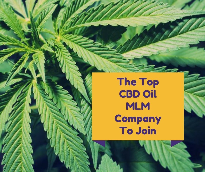 The Top CBD Oil MLM Company to Join